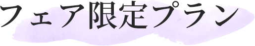 フェア限定プラン